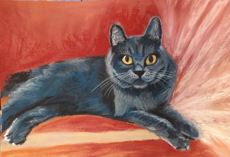 Bild von Katze Bella - Dorothea Lindhorst - https://www.dorotheas-herzfrieden.de