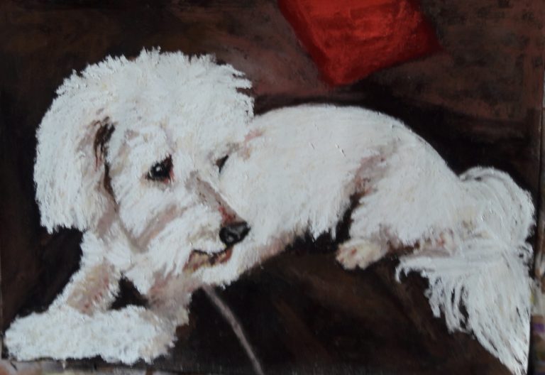 Bild von Hund Chloe - Dorothea Lindhorst - https://www.dorotheas-herzfrieden.de