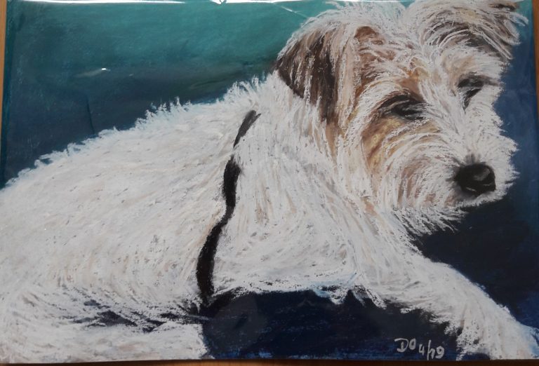 Bild von Hund Sammy-Kul - Dorothea Lindhorst - https://www.dorotheas-herzfrieden.de